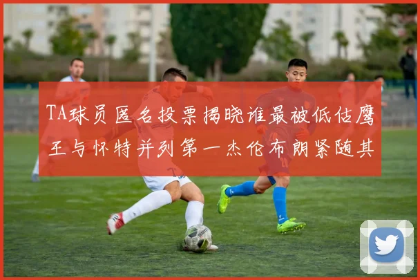 TA球员匿名投票揭晓谁最被低估鹰王与怀特并列第一杰伦布朗紧随其后